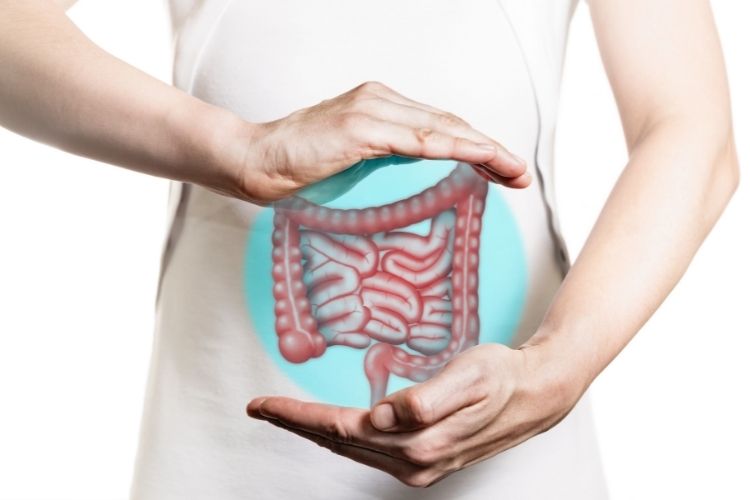 O que é obstrução intestinal? Conheça causas, sintomas e tratamentos