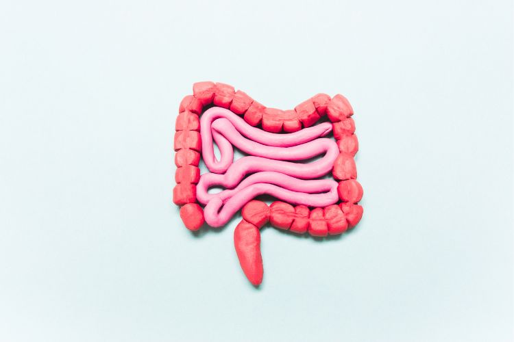 Estenose de intestino, você sabe o que é?