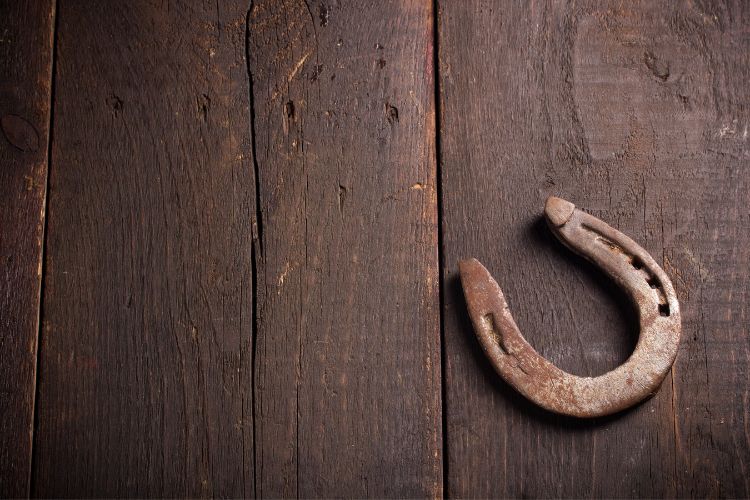 Fístula em ferradura – tratamento de fístula anal