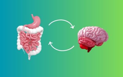 Intestino: o nosso segundo cérebro