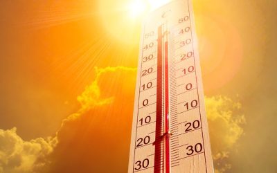 Altas temperaturas: calor demais faz mal?