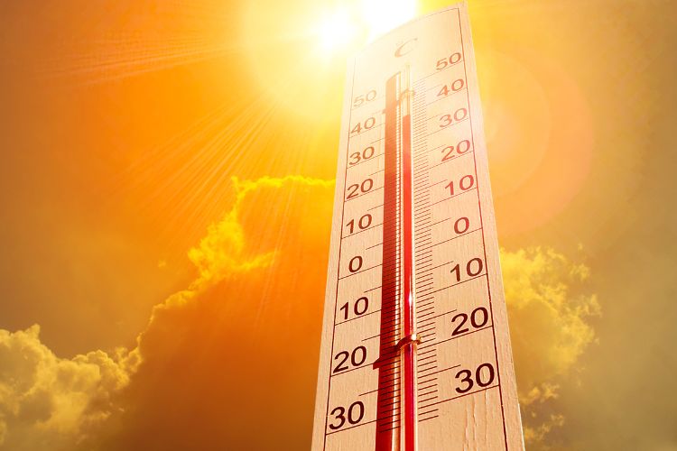 Altas temperaturas: calor demais faz mal?