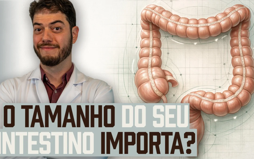 Tamanho do intestino humano: Qual a média e como ele funciona?